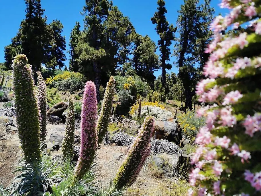 Сasa de vacaciones Villa La Terraza de Juana Santa Cruz de la Palma